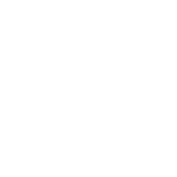 Dynmap